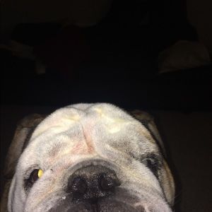 Meet your Posher, Abby